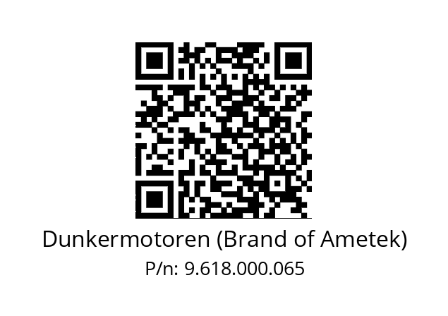   Dunkermotoren (Brand of Ametek) 9.618.000.065