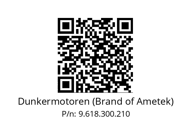   Dunkermotoren (Brand of Ametek) 9.618.300.210