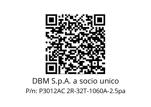   DBM S.p.A. a socio unico P3012AC 2R-32T-1060A-2.5pa