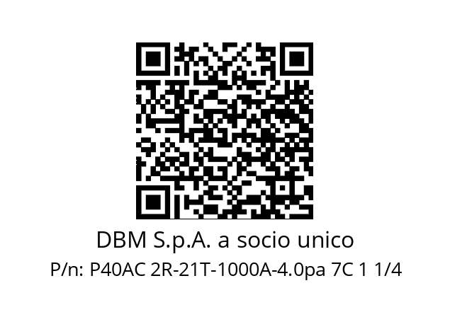   DBM S.p.A. a socio unico P40AC 2R-21T-1000A-4.0pa 7C 1 1/4