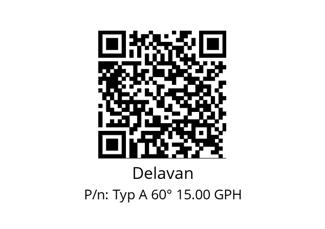   Delavan Typ A 60° 15.00 GPH