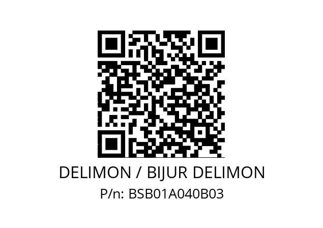   DELIMON / BIJUR DELIMON BSB01A040В03