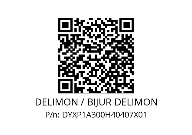   DELIMON / BIJUR DELIMON DYXP1A300H40407X01