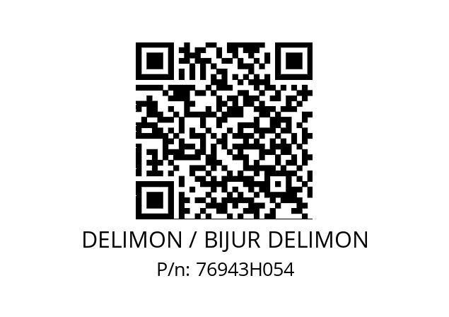   DELIMON / BIJUR DELIMON 76943H054