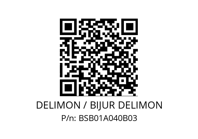   DELIMON / BIJUR DELIMON BSB01A040B03