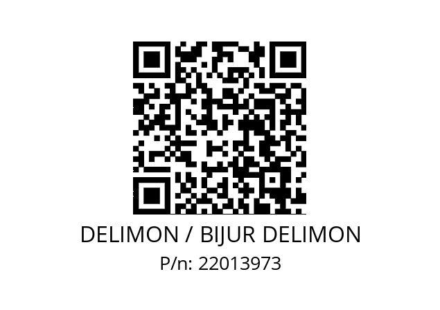   DELIMON / BIJUR DELIMON 22013973