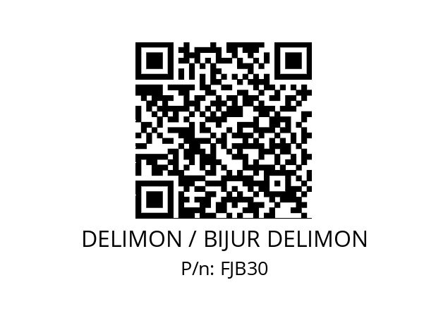   DELIMON / BIJUR DELIMON FJB30