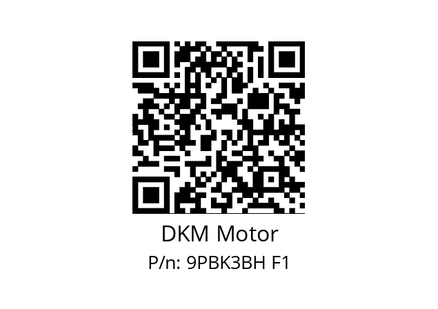   DKM Motor 9PBK3BH F1