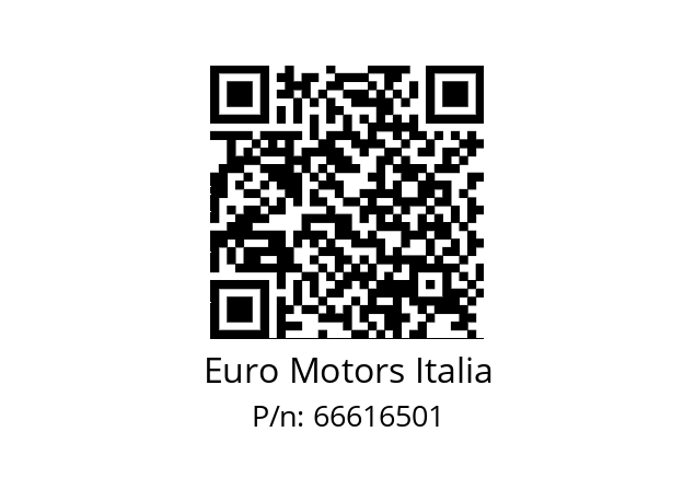   Euro Motors Italia 66616501