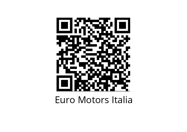  FC153B-4-1000/6 Euro Motors Italia 