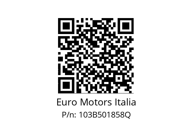   Euro Motors Italia 103B501858Q