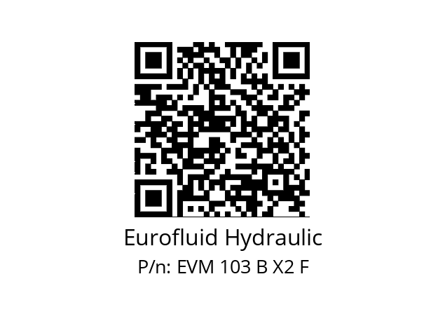   Eurofluid Hydraulic EVM 103 B X2 F