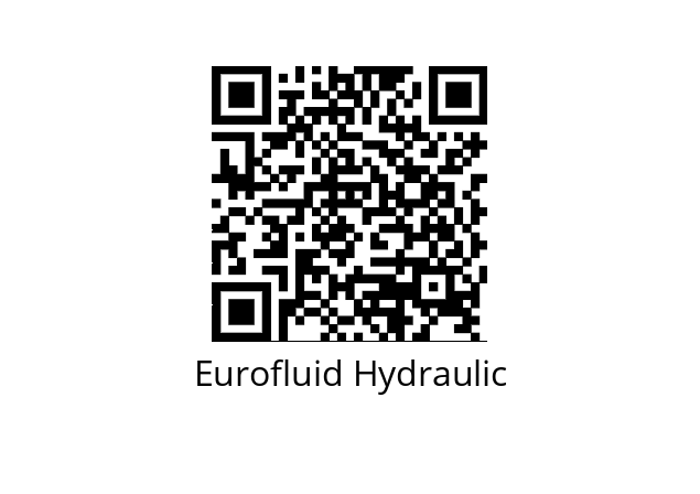  SL53/53 Eurofluid Hydraulic 