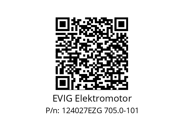   EVIG Elektromotor 124027EZG 705.0-101