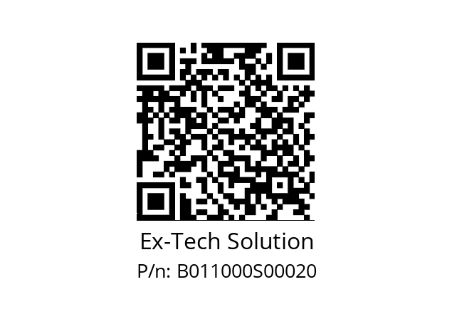   Ex-Tech Solution B011000S00020