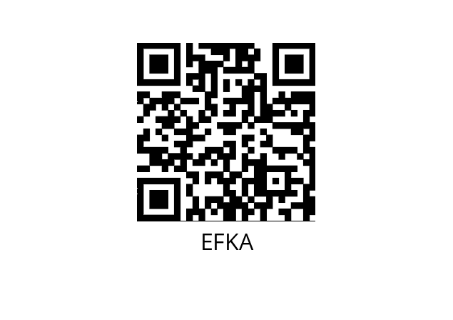  N206 EFKA 