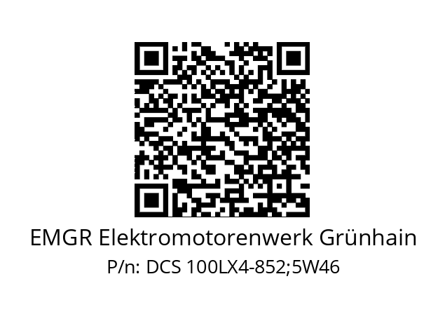   EMGR Elektromotorenwerk Grünhain DCS 100LX4-852;5W46