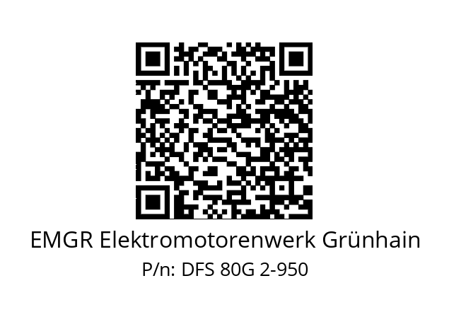   EMGR Elektromotorenwerk Grünhain DFS 80G 2-950