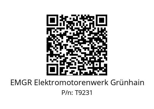   EMGR Elektromotorenwerk Grünhain T9231