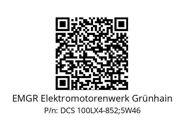   EMGR Elektromotorenwerk Grünhain DCS 100LX4-852;5W46