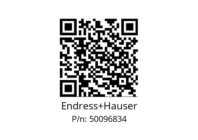   Endress+Hauser 50096834