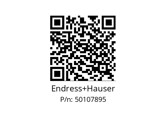   Endress+Hauser 50107895