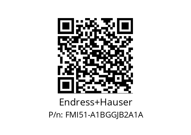   Endress+Hauser FMI51-A1BGGJB2A1A