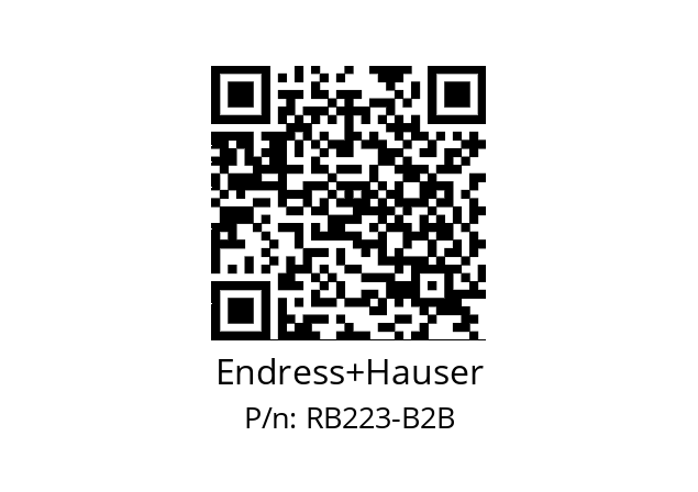   Endress+Hauser RB223-B2B