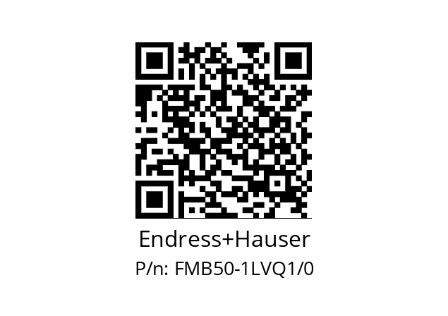   Endress+Hauser FMB50-1LVQ1/0