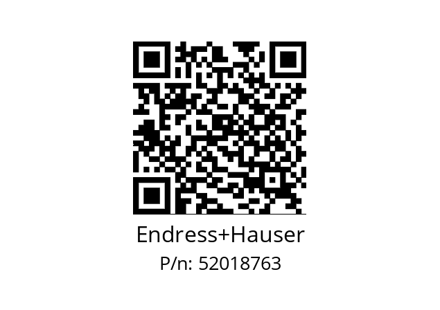   Endress+Hauser 52018763