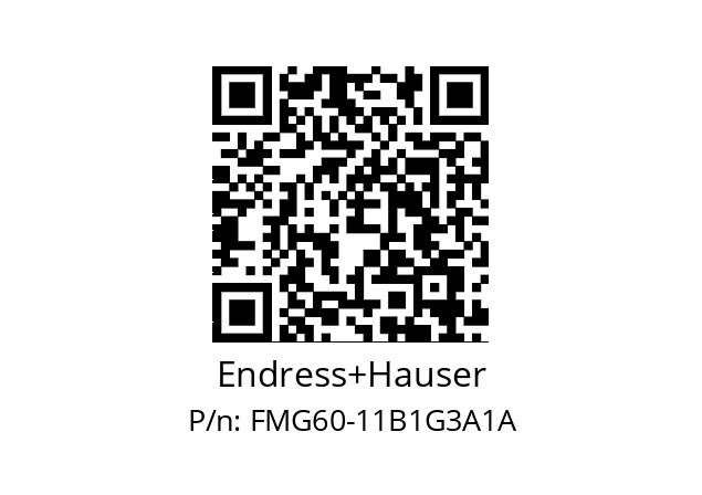   Endress+Hauser FMG60-11B1G3A1A