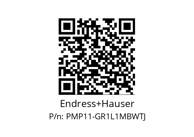   Endress+Hauser PMP11-GR1L1MBWTJ