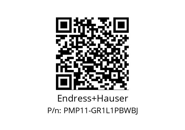   Endress+Hauser PMP11-GR1L1PBWBJ