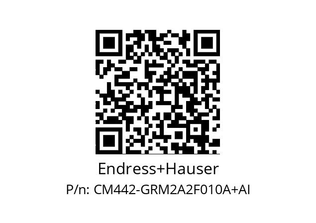   Endress+Hauser CM442-GRM2A2F010A+AI