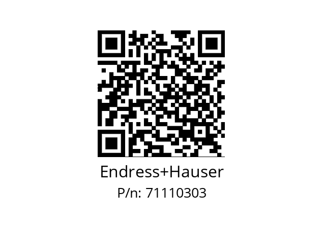   Endress+Hauser 71110303