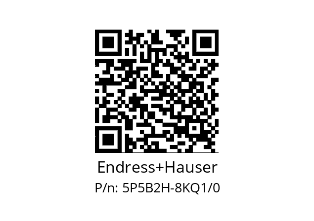   Endress+Hauser 5P5B2H-8KQ1/0