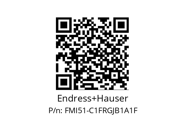   Endress+Hauser FMI51-C1FRGJB1A1F