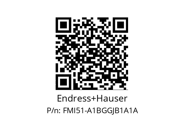   Endress+Hauser FMI51-A1BGGJB1A1A