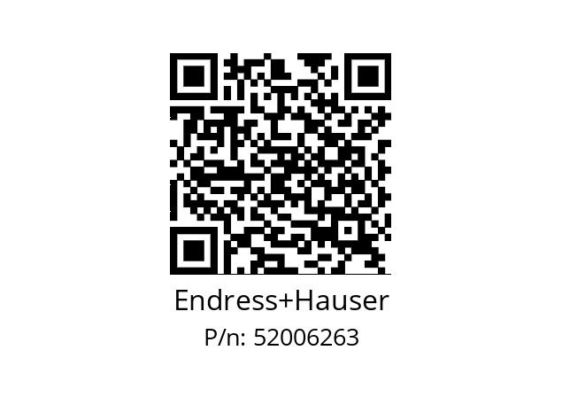   Endress+Hauser 52006263