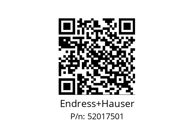   Endress+Hauser 52017501