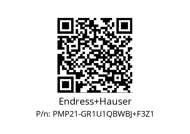   Endress+Hauser PMP21-GR1U1QBWBJ+F3Z1