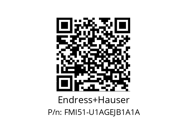   Endress+Hauser FMI51-U1AGEJB1A1A