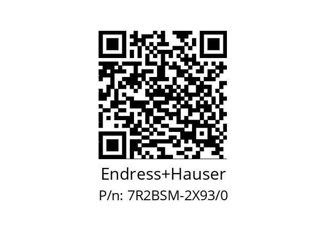   Endress+Hauser 7R2BSM-2X93/0