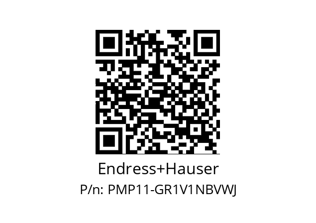   Endress+Hauser PMP11-GR1V1NBVWJ