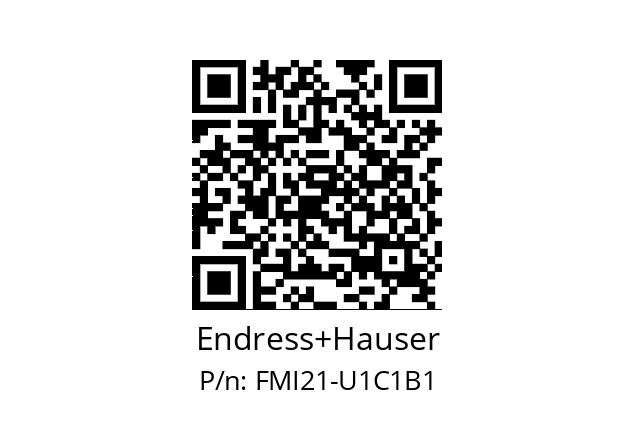   Endress+Hauser FMI21-U1C1B1