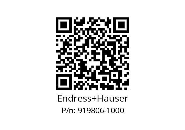   Endress+Hauser 919806-1000