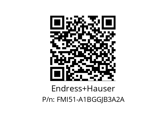   Endress+Hauser FMI51-A1BGGJB3A2A