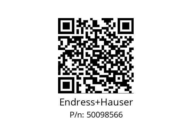   Endress+Hauser 50098566