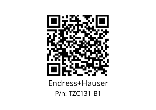   Endress+Hauser TZC131-B1