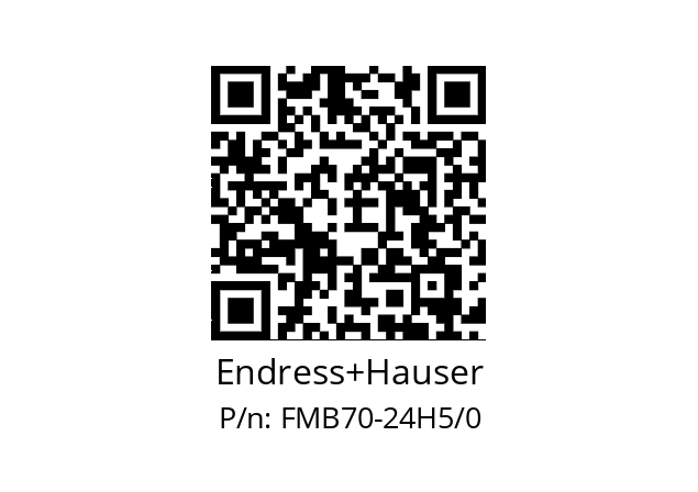   Endress+Hauser FMB70-24H5/0